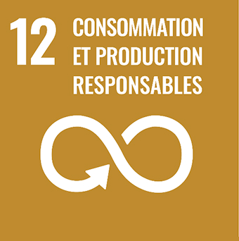 be-cosmo-a-propos-de-nous-contribution-developpement-durable06